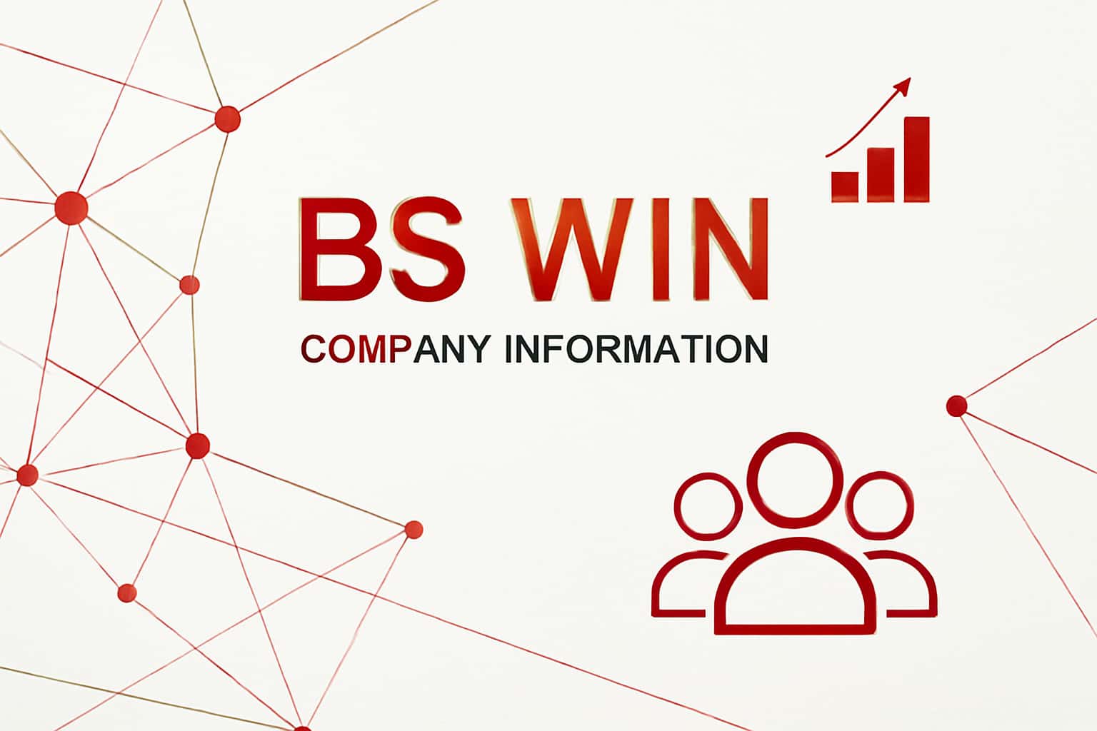 BS Win Company Information Interface